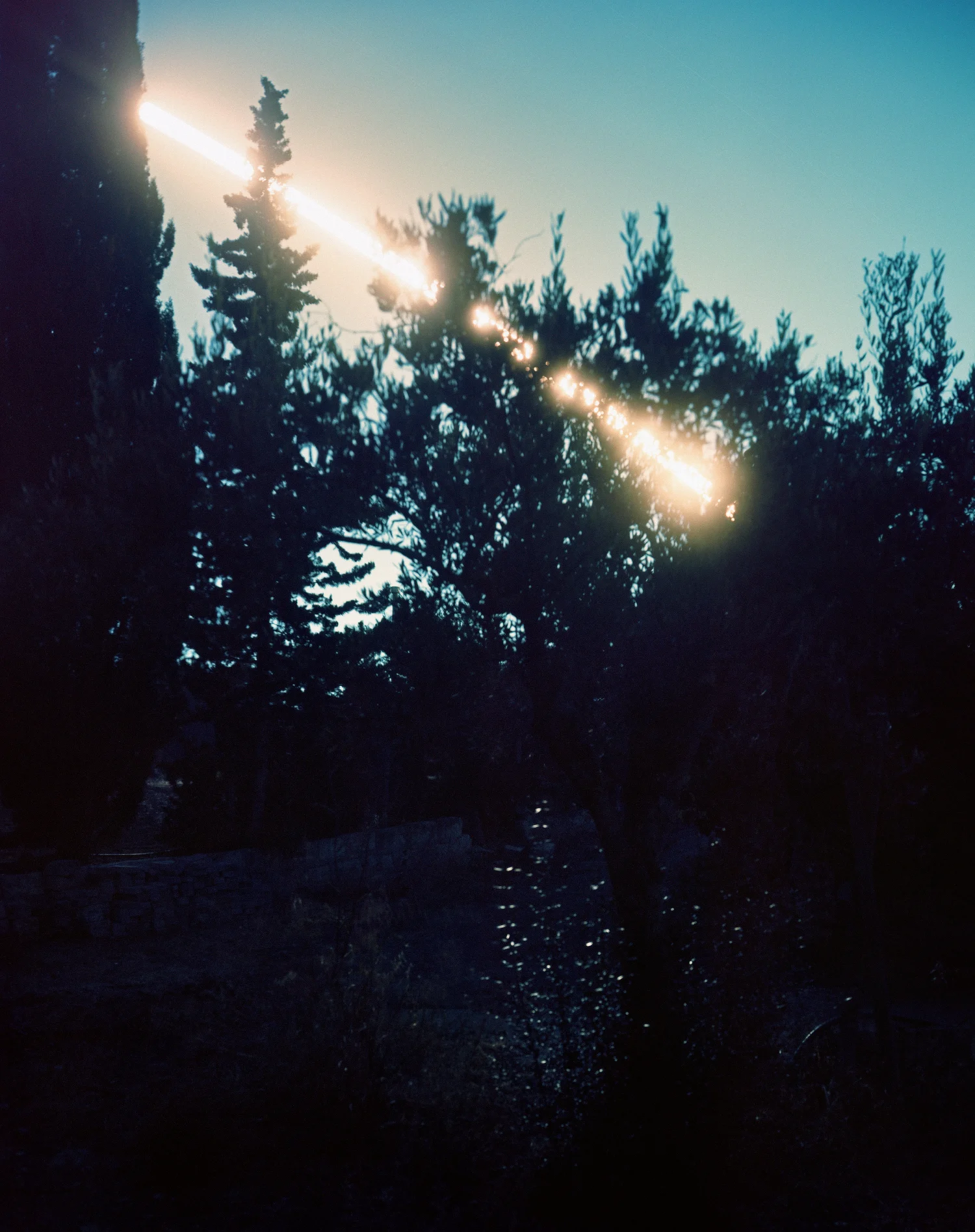 Proliferation — //